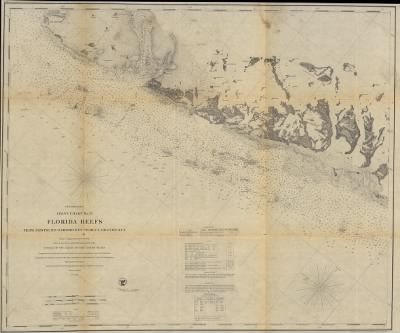 Florida Keys > Preliminary coast chart ... Florida Reefs [on four sheets] From a trigonometrical survey under the direction of A. D. Bache, Superintendent of the survey of the coast of the United States.