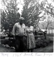 074-FH-MMM-042c -- Mary Morris & Henry Lee Miles Fruit Trees Frozen 1965.jpg