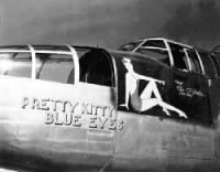 B-25 Pretty Kitty Blue Eyes
