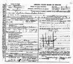 Lydia Ann Lake Nelson death certificate