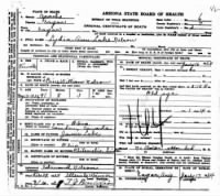 Lydia Ann Lake Nelson death certificate