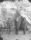 Sharpsburg, MD  October 3, 1862