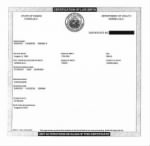 Obama Birth Certificate short form