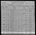 1900 Census: Richard McDonald Family