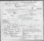 Death Certificate-Theresa McGinnis Matheson-1915.jpg