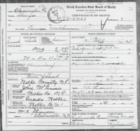 Death Certificate-Theresa McGinnis Matheson-1915.jpg