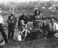 A group of Jews tend one of the vegetable gardens in the Kovno ghetto.jpg