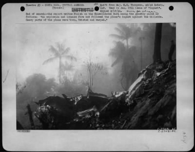 General > End of search - the report writes finish on the Consolidated B-24 among the ghostly palms as follows: "An explosion and intense fire had followed the plane's impact against the hillside. Heavy parts of the plane were torn, twisted and warped."