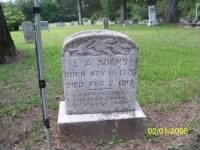 Grave Marker for Levi Adams