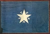 Texas First Infantry Flag