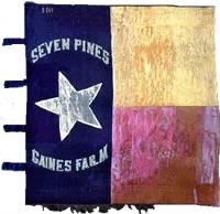 Flag of Texas First Infantry