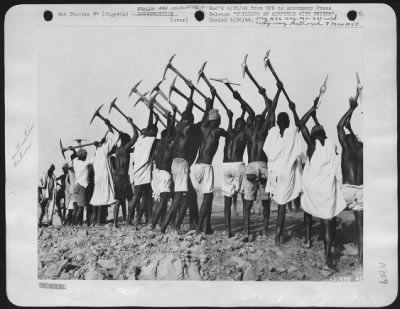 Thumbnail for General > These natives of Nigeria, Africa, are building a U.S. AAF base for the Air Transport Command.  As they work they sing a Nile River boat song.