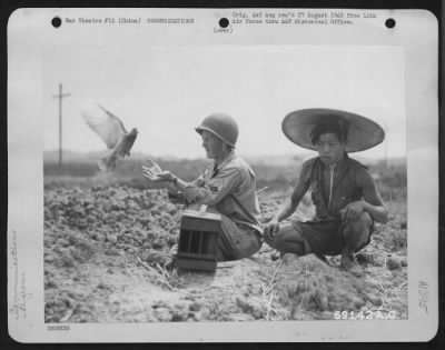 General > A Homing Pigeon Returns To A Sergeant In The Signal Corps.  The Pigeons Proved Themselves Invaluable And In Several Cases Have Actually Saved Lives Of Bomber Crews Forced Down On The Way To Home Base.  China, 21 November 1944.