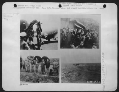 General > for WASHINGTON CENSORSHIP ONLY---Upper Left, Transport plane that brought Doolittle Raiders from China to India, with Giraffe.-Upper right, bewildered Chinese natives of village near where bomber crashed seeing their first white man.-Lower left