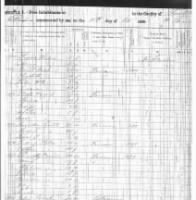 Susannah Doub--1850 Forsyth County Census.jpg
