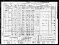 1940 United States Federal Census (Beta).jpg