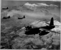 B-26 of the 319th Bomb Group (all Squads) 437, 438, 439 and 440th BS)