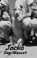 340thBG,486thBS, "Jocko" Tom's dog and the Squadron's Mascot. 1944