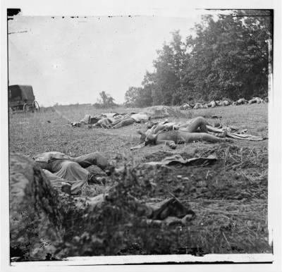 1019 - Gettysburg, Pa. Confederate dead gathered for burial at the edge of the Rose woods, July 5, 1863