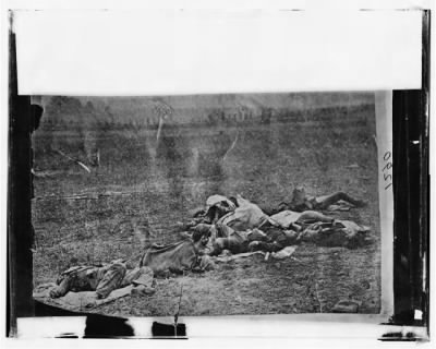 115 - Antietam, Maryland. Dead on battlefield