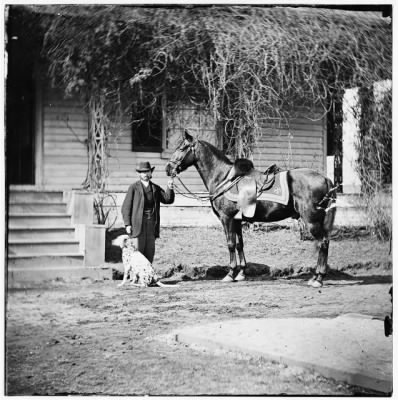125 - City Point, Virginia. Gen. Rufus Ingalls' horse and dog?