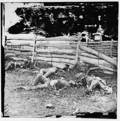 Thumbnail for 1280 - Antietam, Maryland. Bodies of dead, Louisiana Regiment