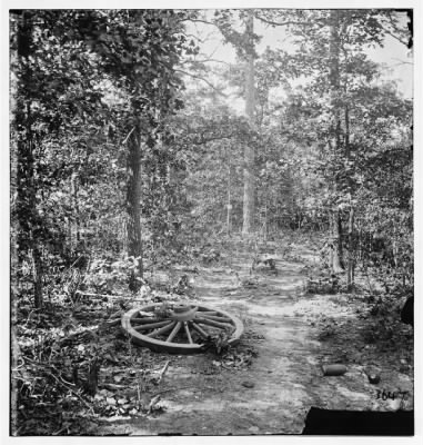 1541 - Atlanta, Georgia (vicinity). Woods where Gen. James B. McPherson was killed, July 22, 1864