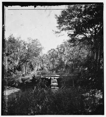 1680 - [Savannah, Georgia.] Bridge over stream