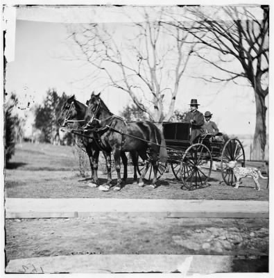 2251 - [City Point, Virginia.] Gen. Rufus Ingalls in buggy with colored boy