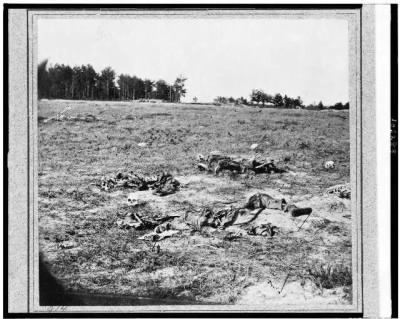 25 - Battle-field of Gaines Mill, Va.