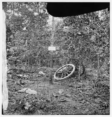 2596 - Atlanta, Georgia (vicinity). Spot in woods where Gen. James B. McPherson was killed, July 22, 1864