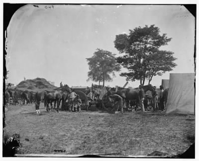 2760 - Antietam, Md. Blacksmith shoeing horses at headquarters, Army of the Potomac