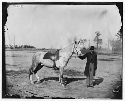 2836 - Petersburg, Virginia. Lt. Vane and horse, Army of the Potomac
