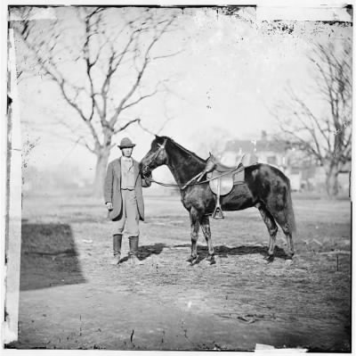 2871 - City Point, Virginia. Gen. U.S. Grant's horse. JEFF DAVIS