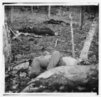 2877 - Gettysburg, Pa. Four dead soldiers in the woods near Little Round Top - Page 1