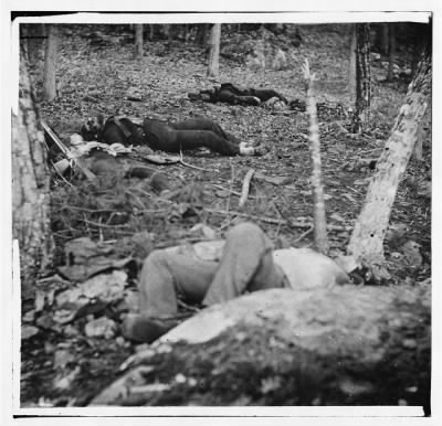 2877 - Gettysburg, Pa. Four dead soldiers in the woods near Little Round Top