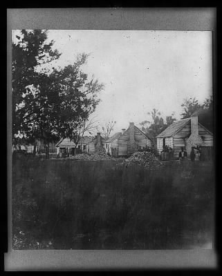 2941 - Plantation view at Port Royal Island, S.C.