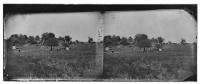 Thumbnail for 2985 - Manassas, Virginia (vicinity). Camp of General Irvin McDowell's body guard - Page 1