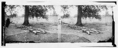 Thumbnail for 3207 - Gettysburg, Pennsylvania. Confederate soldiers who had evidently been shelled by our batteries on Round Top