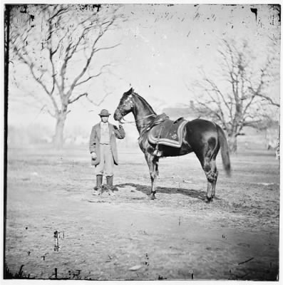 Thumbnail for 3211 - City Point, Virginia. Gen. U.S. Grant's horse, CINCINNATI