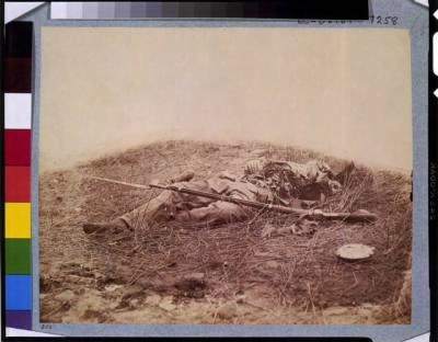 3730 - Battlefield of Gettysburg--Body of a soldier in 'the wheat field,' evidently killed by the explosion of a shell