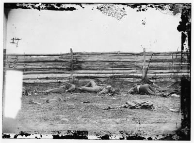 Thumbnail for 4021 - Antietam, Maryland. Bodies of Confederate soldiers by fence on Hagerstown pike