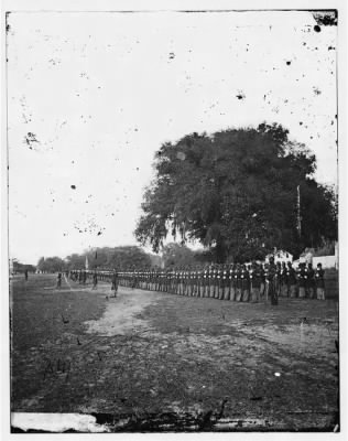 4044 - Beaufort, South Carolina. 29th Regiment from Connecticut