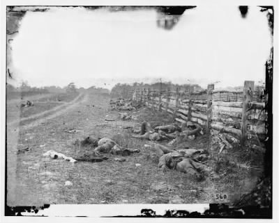 4088 - Antietam, Md. Confederate dead by a fence on the Hagerstown road