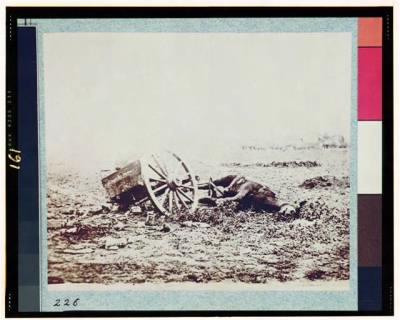 4148 - Dead horse on battlefield, Gettysburg, Pennsylvania