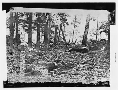 4166 - Scene in the woods at foot of Round Top at Battle of Gettysburg