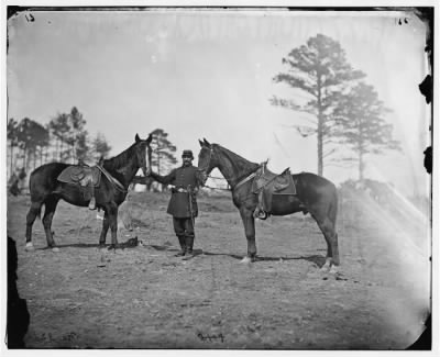 4192 - [Falmouth, Virginia]. Col. George Henry Sharpe's horses, headquarters, Army of The Potomac