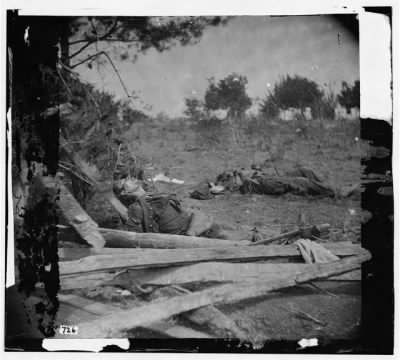 4402 - Spotsylvania Court House, Virginia. Bodies of Confederate soldiers near Mrs. Alsop's house