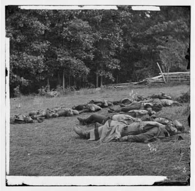 Thumbnail for 4803 - Gettysburg, Pa. Confederate dead gathered for burial at the southwestern edge of the Rose woods, July 5, 1863