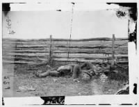 51 - Antietam, Maryland. Dead of Stonewall Jackson's Brigade by rail fence on the Hagerstown pike - Page 1